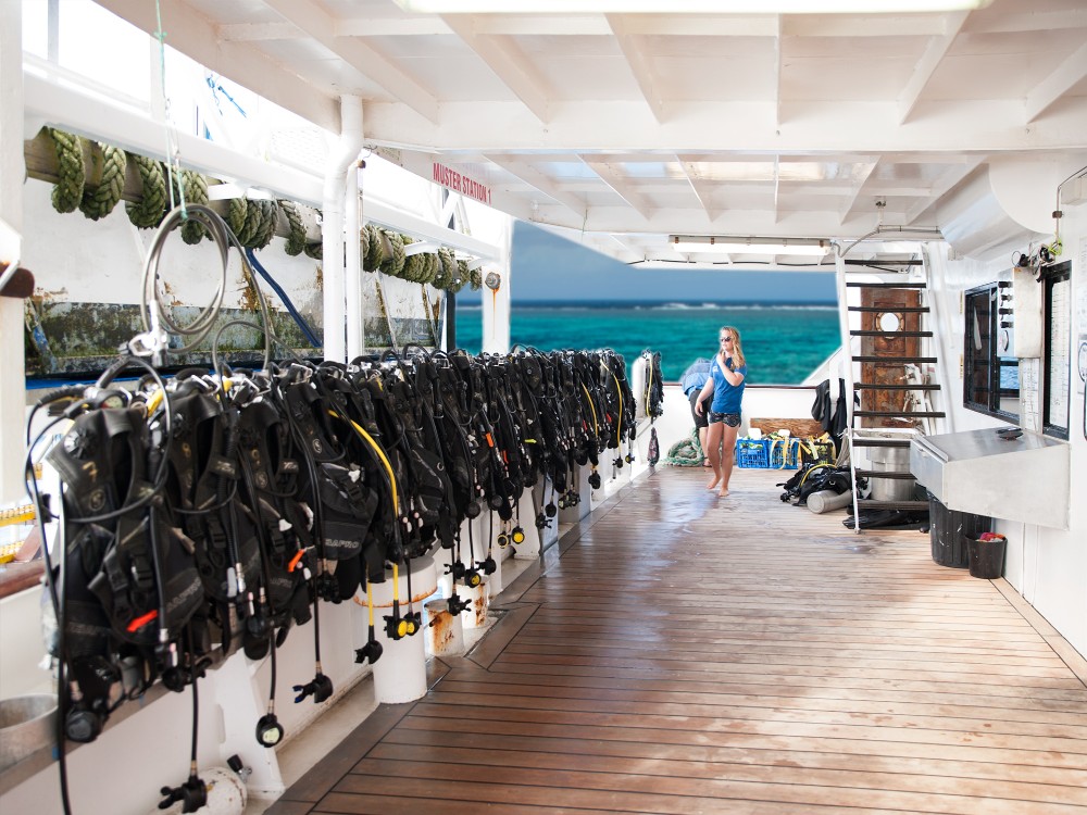 DIVE DECK