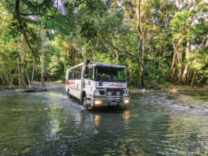 Cape York Tour