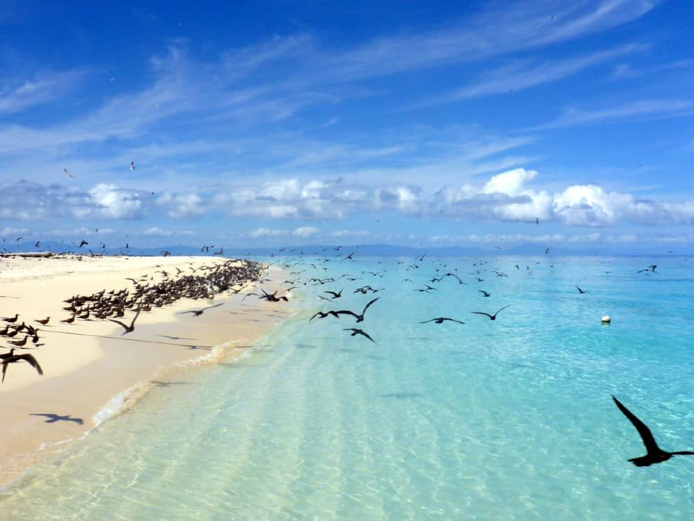 MICHAELMAS CAY