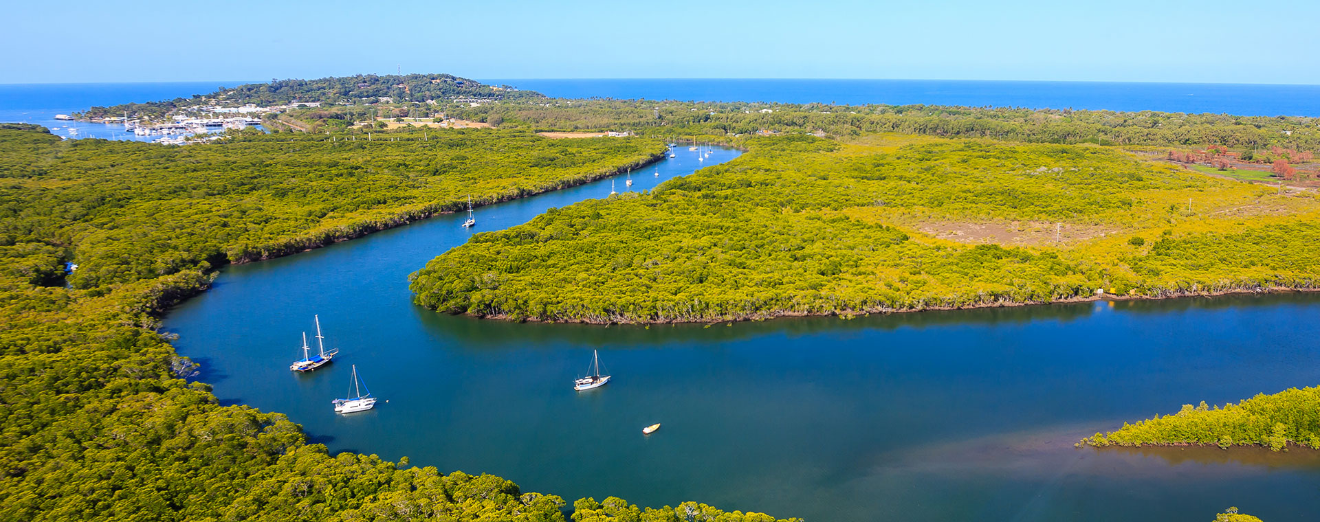 Port Douglas and Daintree Rainforest  Find Your Travel Experience