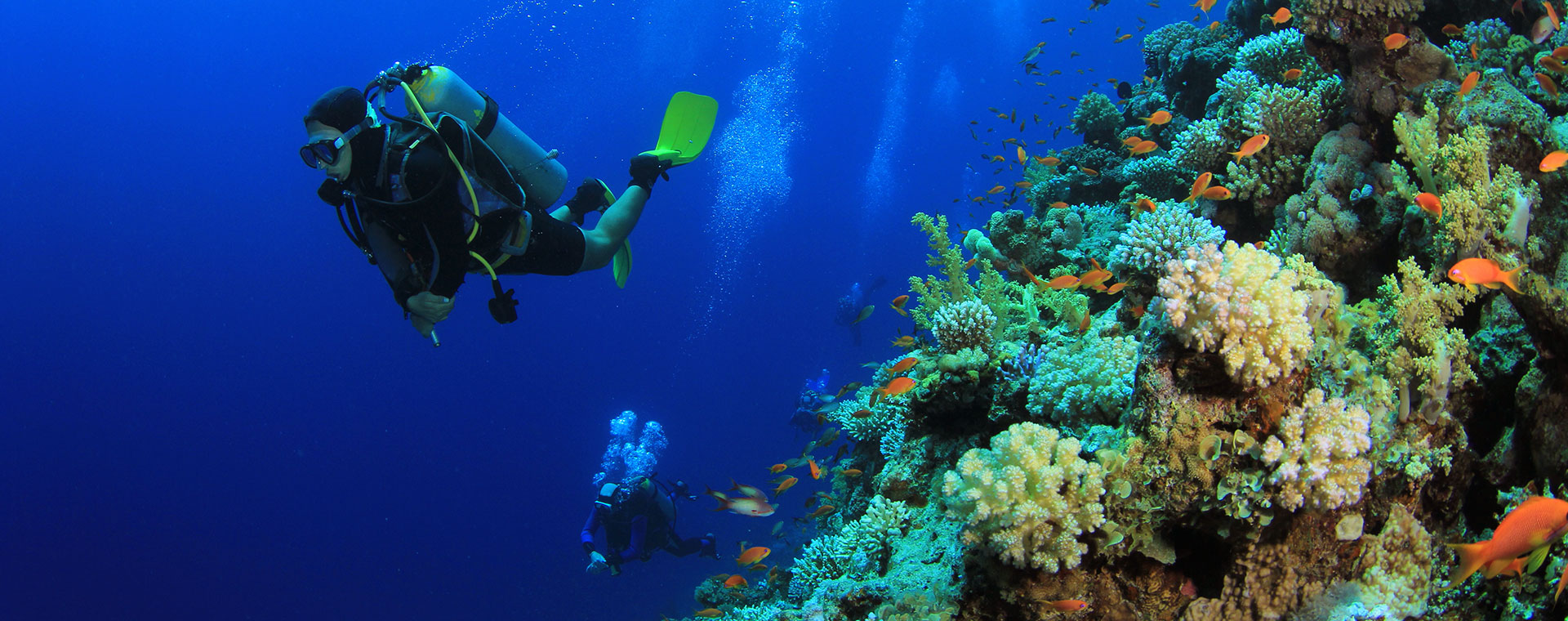 Great Barrier Reef  Find Your Travel Experience
